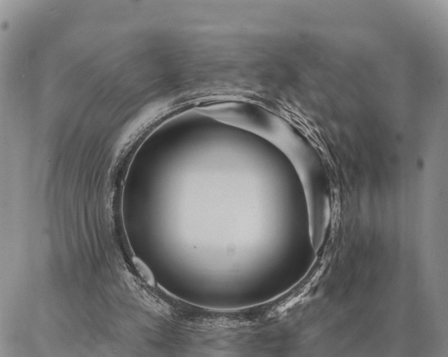 X0000086930197200704231339