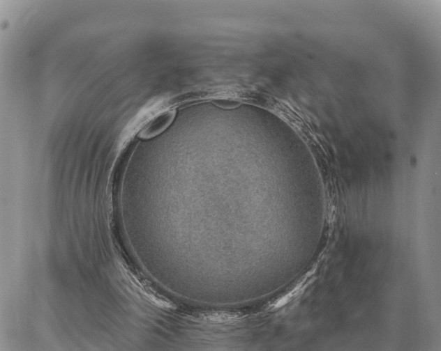 X0000086930198200704231339