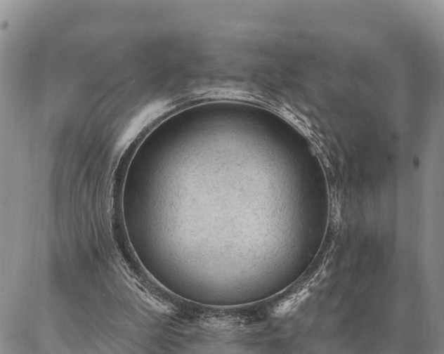 X0000086930199200704231339