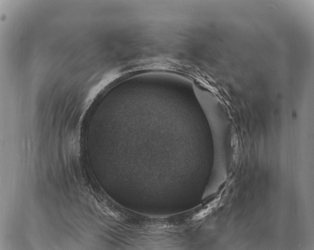 X0000086930200200704231339