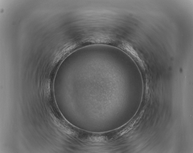 X0000086930202200704231339