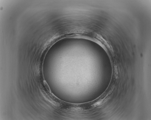 X0000086930203200704231339