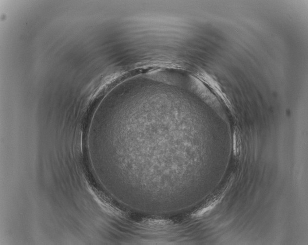 X0000086930205200704231339