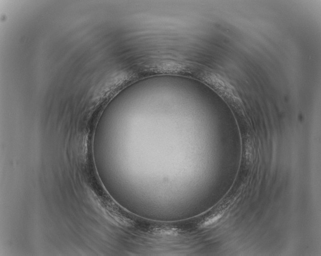 X0000086930206200704231339