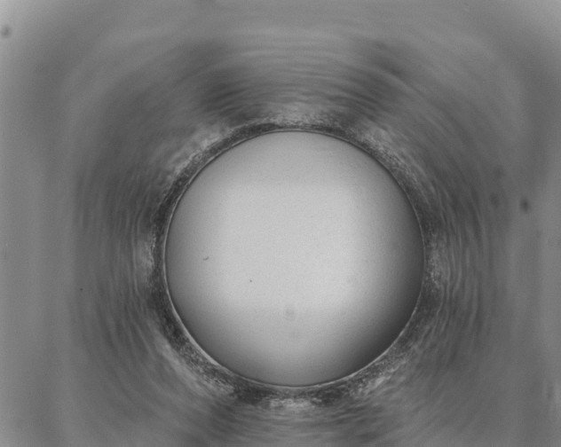 X0000086930208200704231339