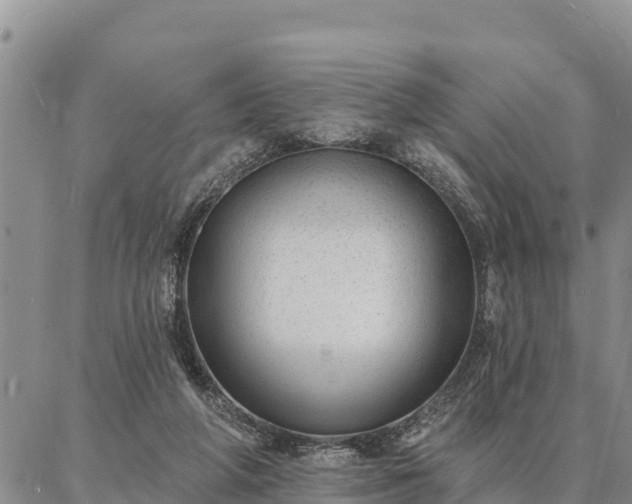 X0000086930210200704231339