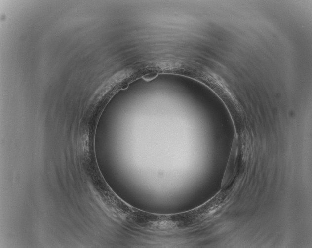 X0000086930212200704231338