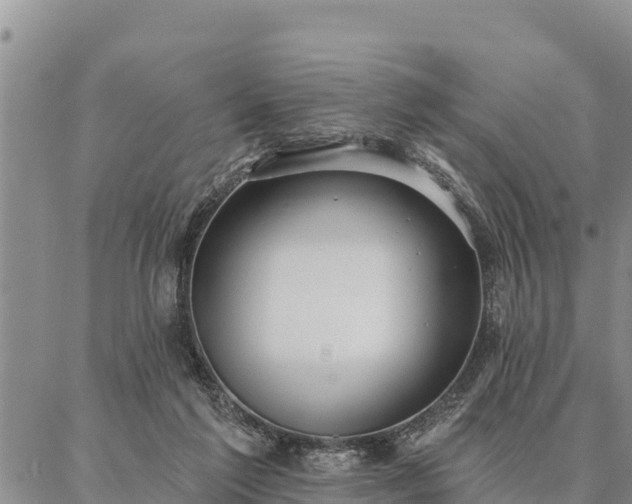 X0000086930213200704231338