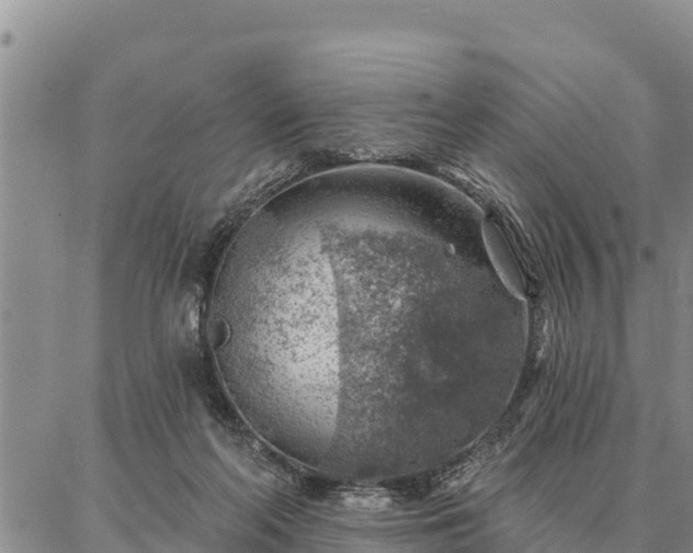 X0000086930214200704231338