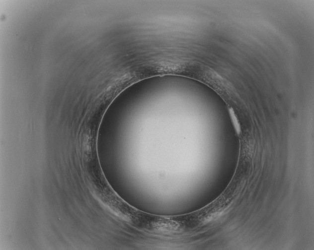 X0000086930215200704231338