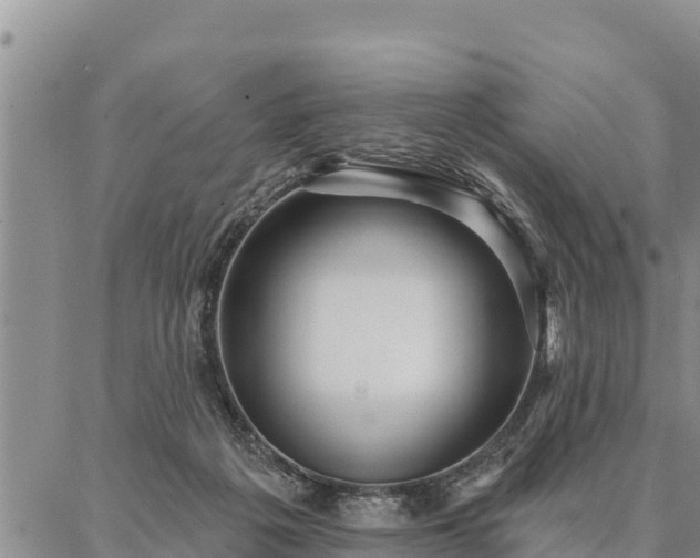 X0000086930217200704231338