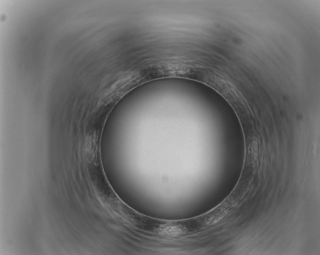 X0000086930218200704231338