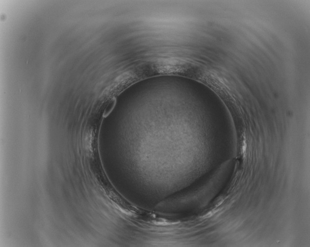 X0000086930219200704231338