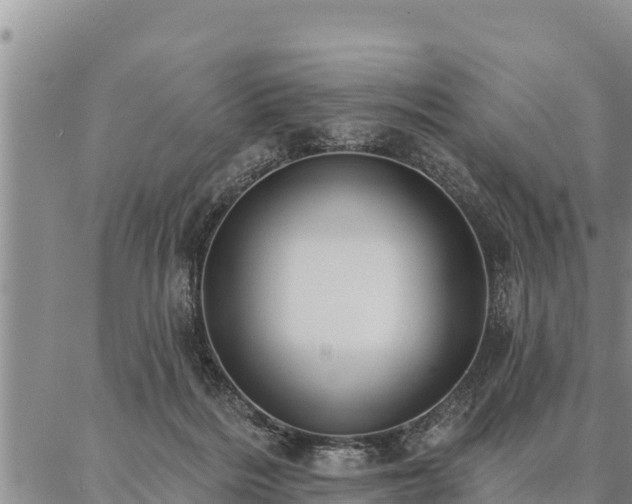 X0000086930220200704231338