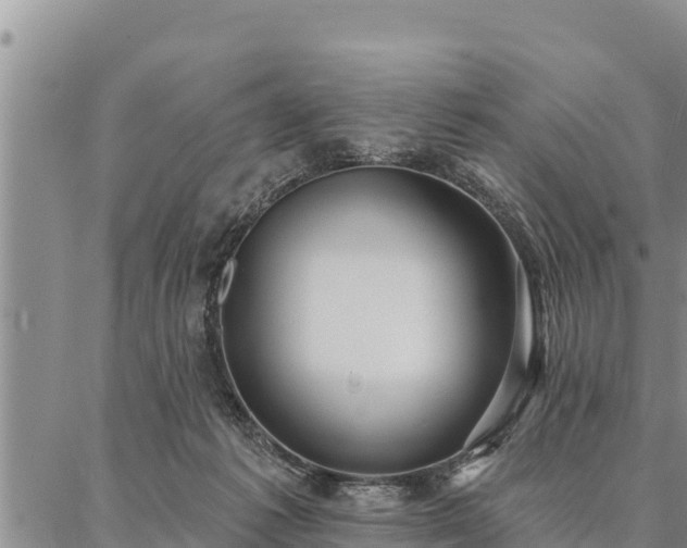 X0000086930221200704231338