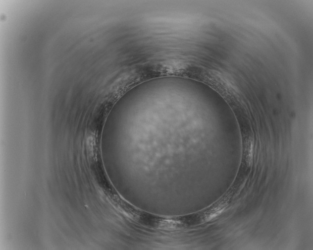 X0000086930222200704231338