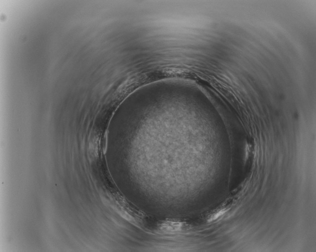 X0000086930227200704231338