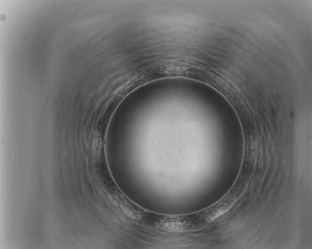 X0000086930228200704231338