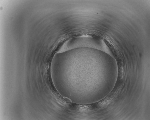 X0000086930229200704231338