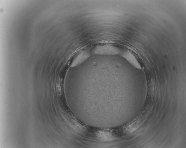 X0000086930232200704231338