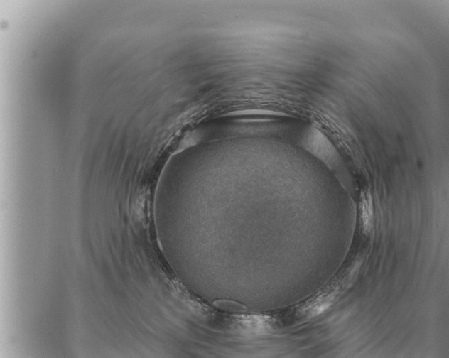 X0000086930233200704231338