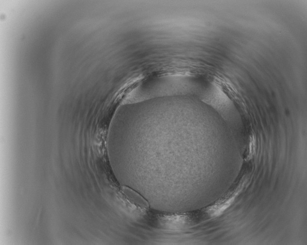 X0000086930237200704231338