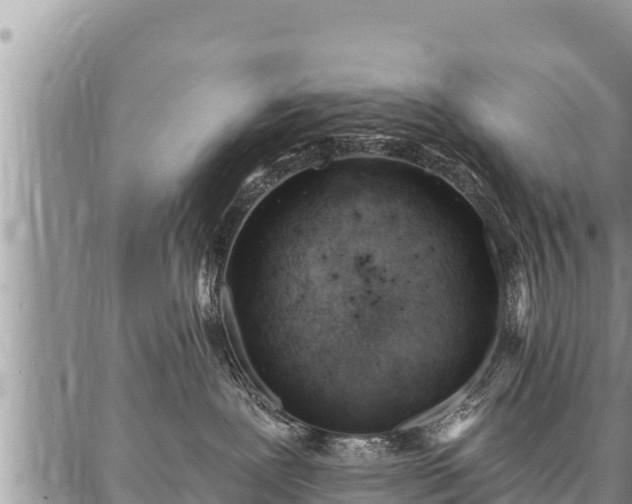 X0000086930239200704231338