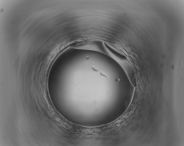 X0000086930241200704231337