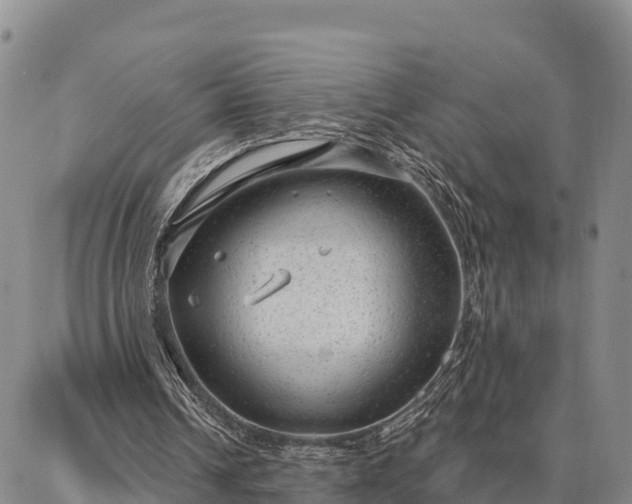 X0000086930242200704231337