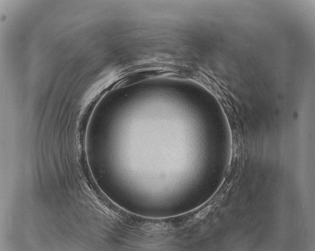 X0000086930245200704231337