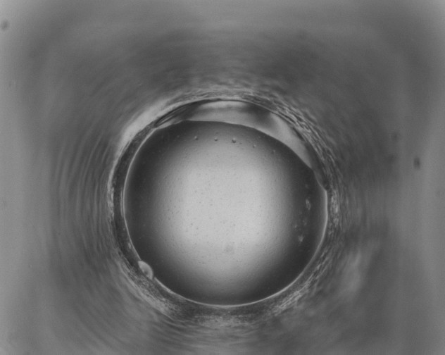 X0000086930246200704231337