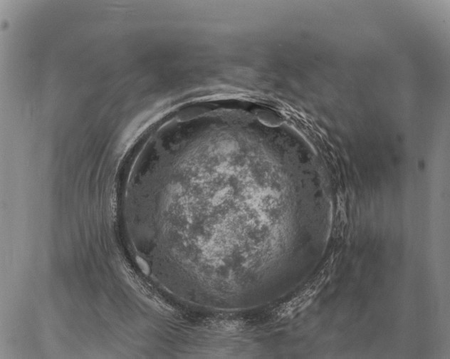 X0000086930247200704231337