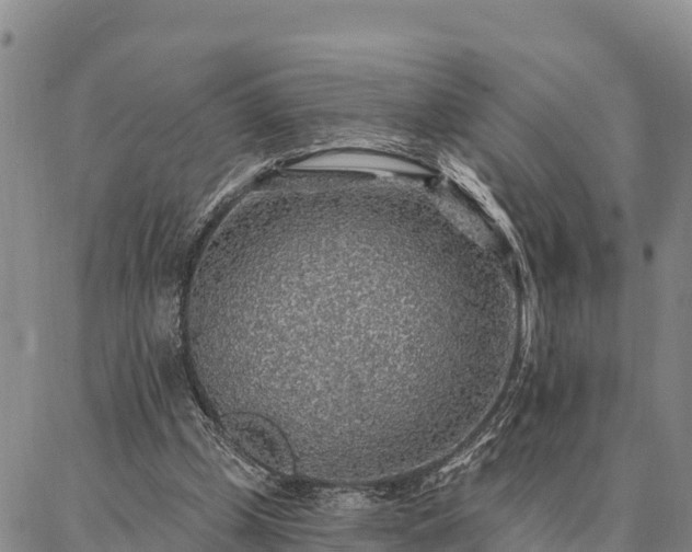 X0000086930249200704231337