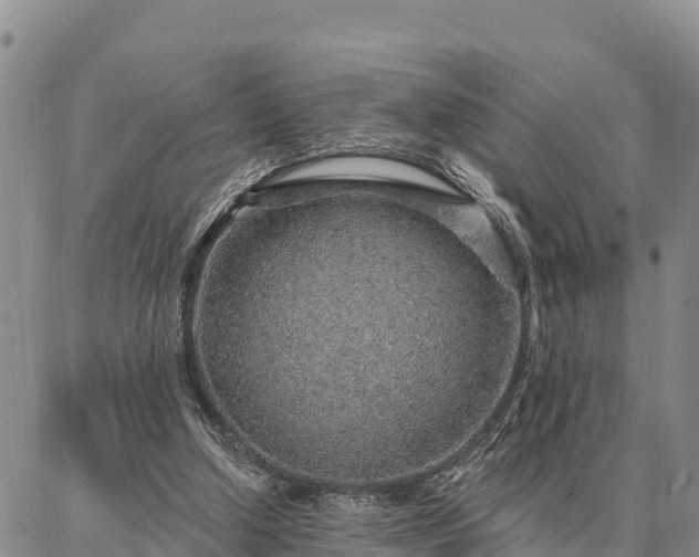 X0000086930250200704231337