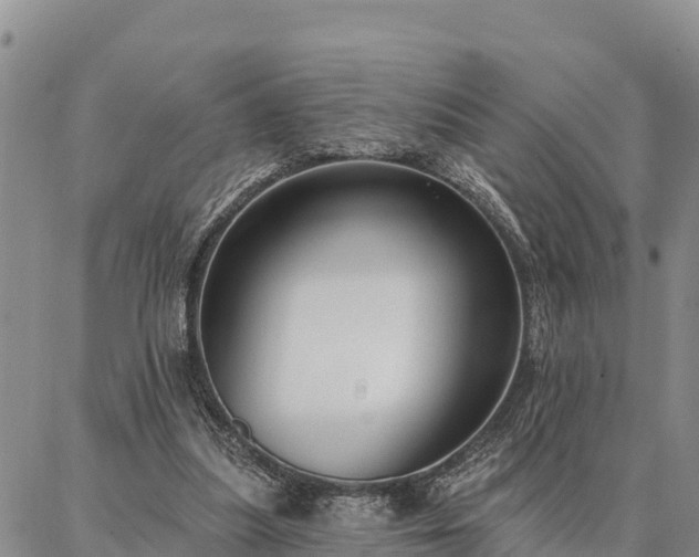 X0000086930251200704231337