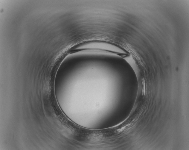 X0000086930252200704231337