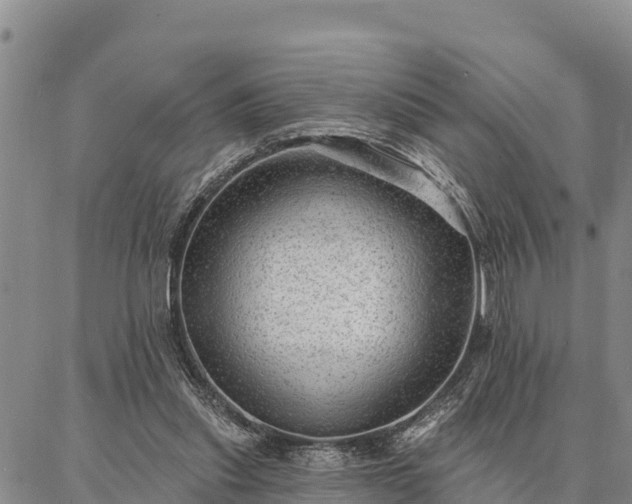 X0000086930253200704231337