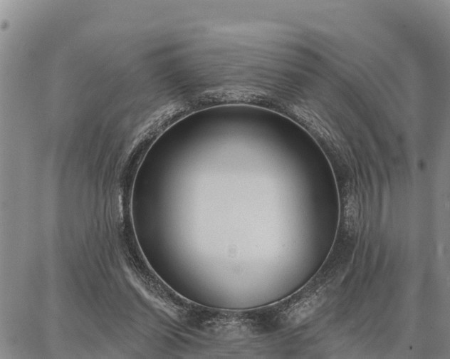 X0000086930254200704231337