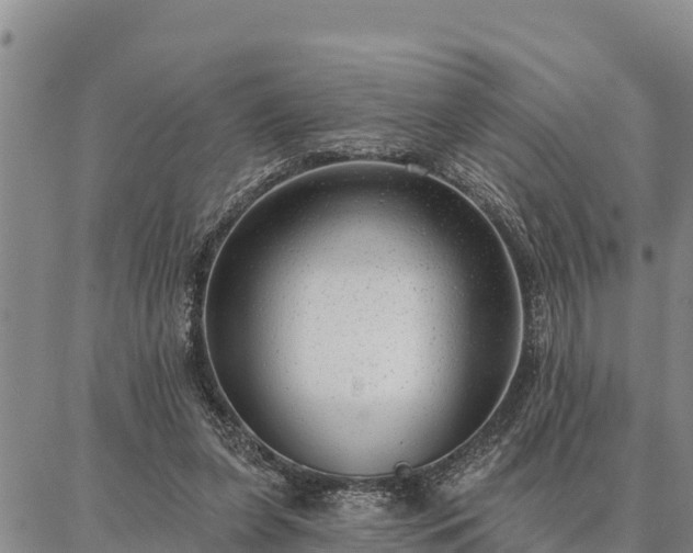 X0000086930255200704231337