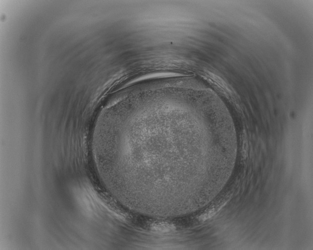 X0000086930258200704231338