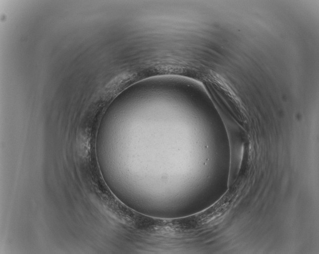 X0000086930259200704231338