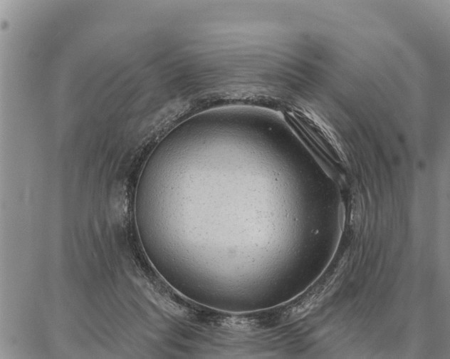 X0000086930261200704231338