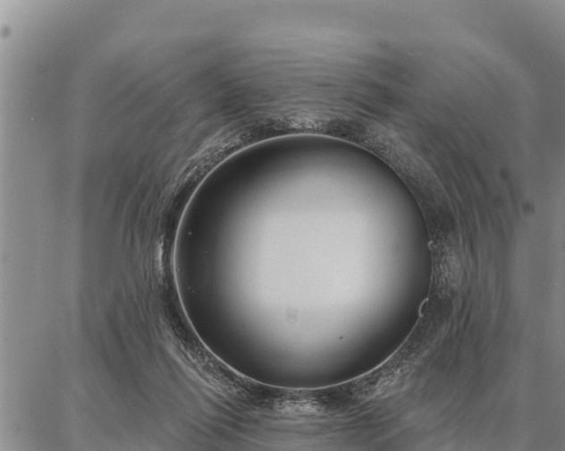 X0000086930262200704231338