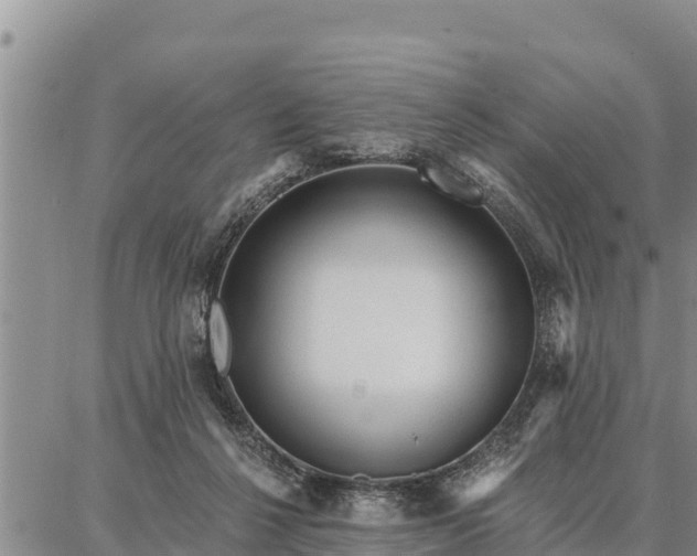 X0000086930264200704231338