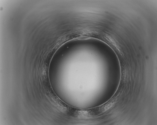 X0000086930265200704231338