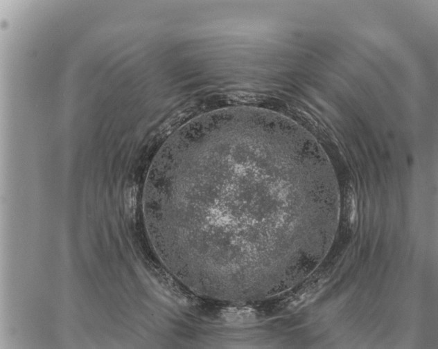 X0000086930271200704231338