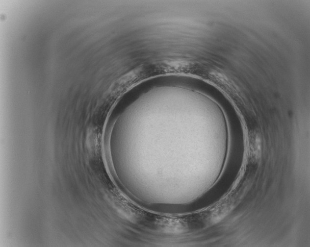 X0000086930276200704231338