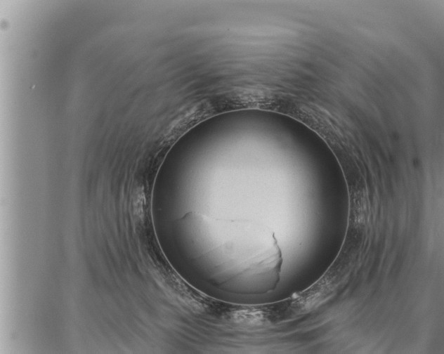 X0000086930279200704231338