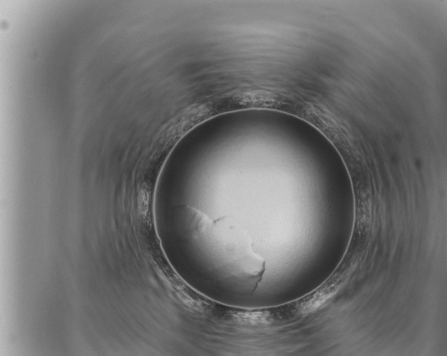 X0000086930281200704231338