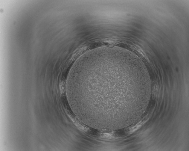 X0000086930285200704231338